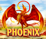 Phoenix RT